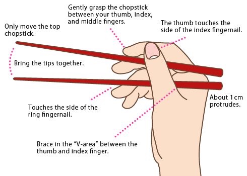 diagram about holding chopsticks