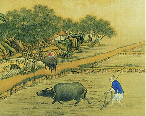 During the Han Dynasty, cattle were cultivated using iron farming tools