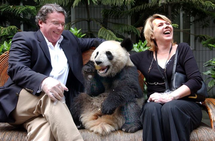 panda Special Diplomatic Status